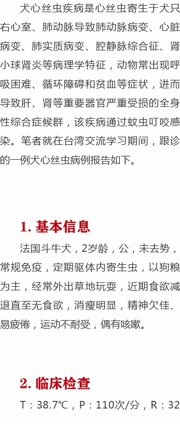 兽医学习分享丨一例犬心丝虫病例的诊治体会