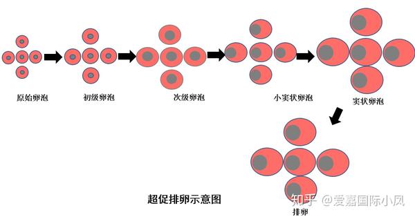 zhuanlan.zhihu.com