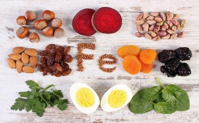 动物类食物补血效果最佳,哪些补铁食物易吸收?