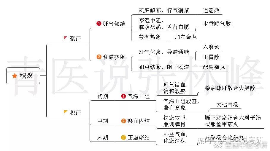 中医考研脱水干货中内55病证超全思维导图一篇用到考前