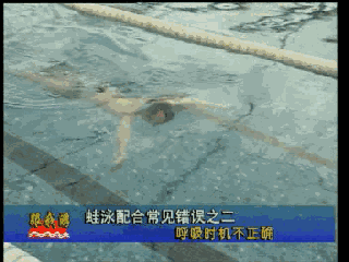 蛙泳腿下沉游不快等错误动作练习方法