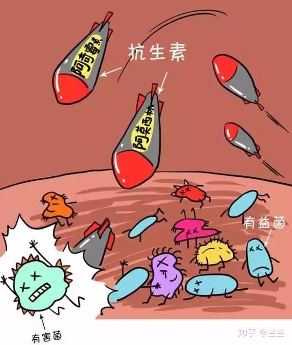 u 益生菌被抗生素狂怼——益生菌:我选择狗带【麻木】 上文说过大量