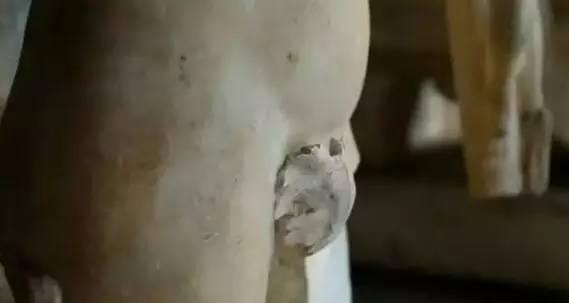 如何看待在回答艺术类专业的问题时放上裸体画作的回