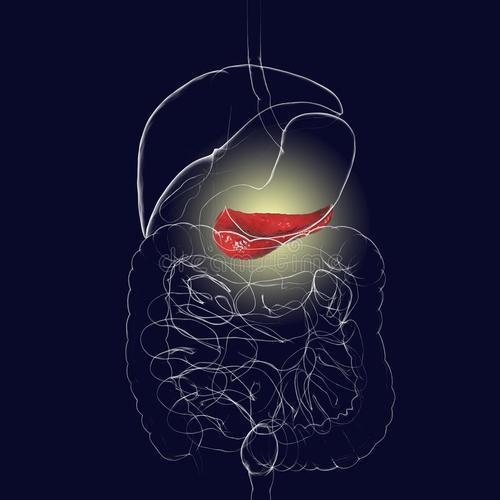 胰腺疾病诊疗困难跟胰腺位置结构复杂有关