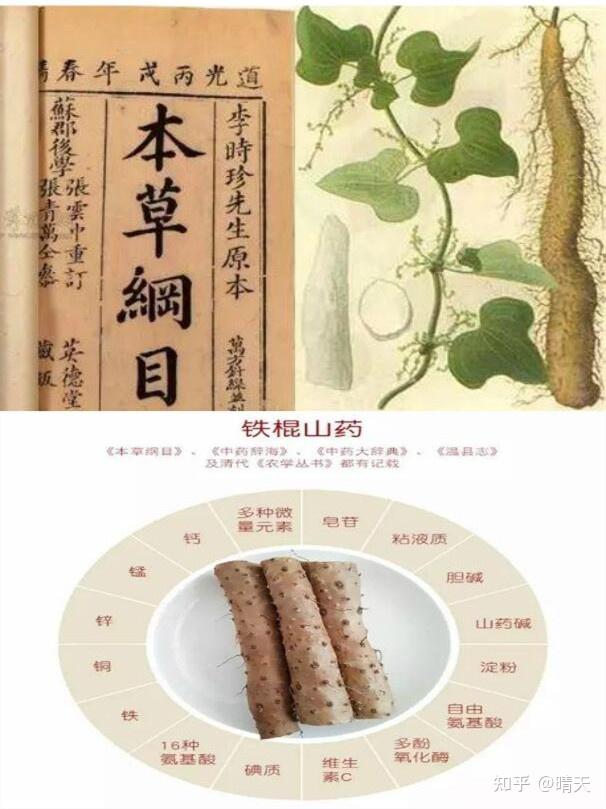 李时珍《本草纲目》也有记载"山药唯有怀山药效`蕞佳"怀"指的是怀