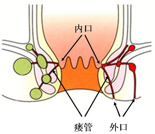 zhuanlan.zhihu.com