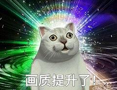 沙雕智障mur猫憨王动态表情包