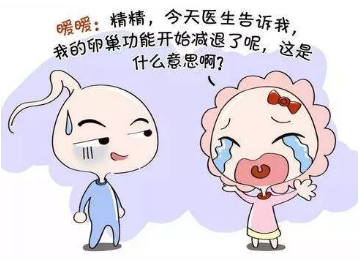 卵巢早衰促排竟然取不到卵子做试管婴儿的奥秘原来在这