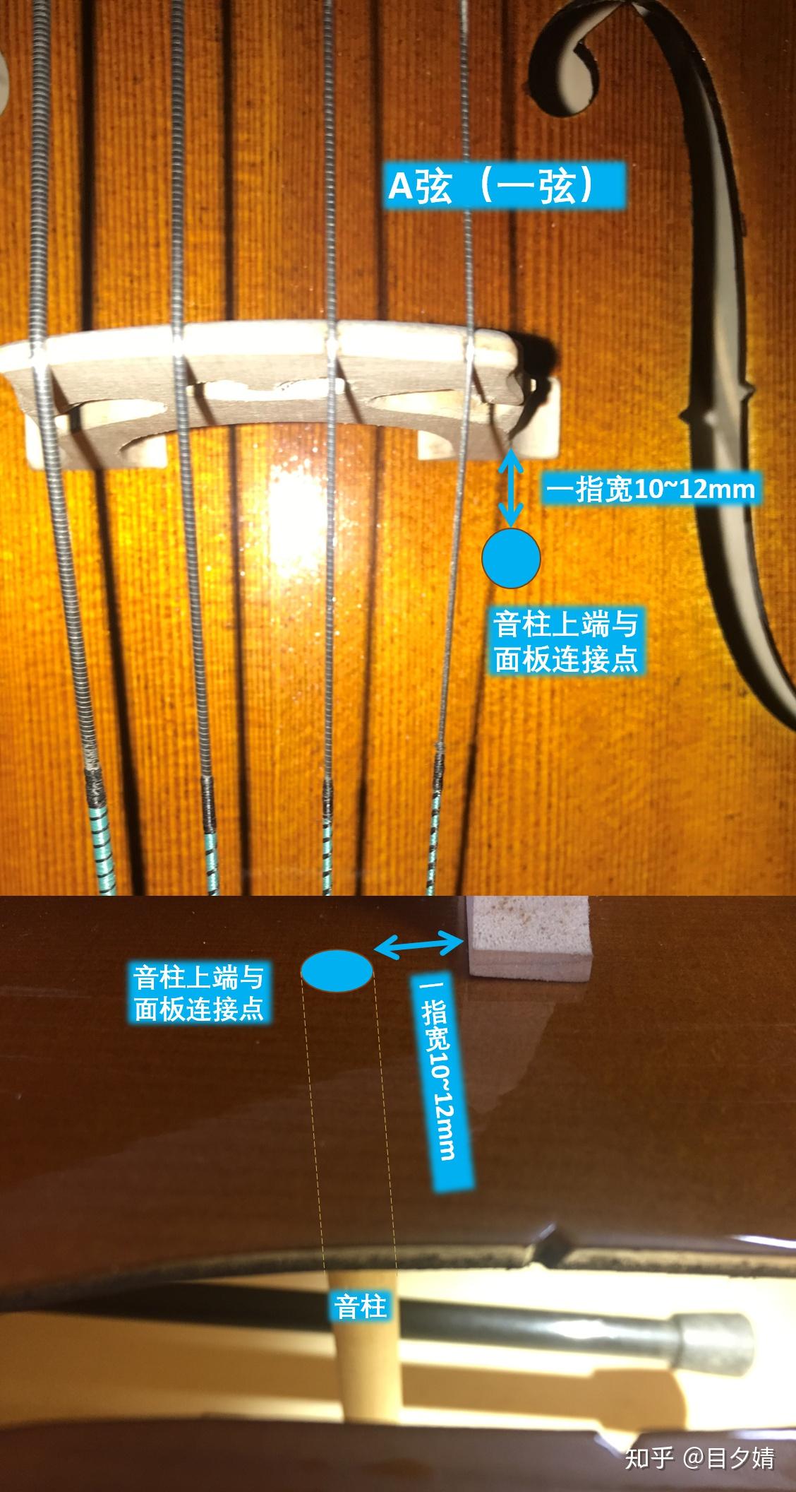 艺界说提琴提琴音柱结构和安装的干货知识附带图解