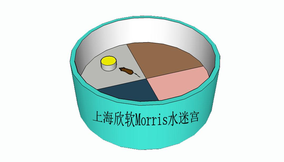 浅析morris水迷宫实验指标的统计方法学准则