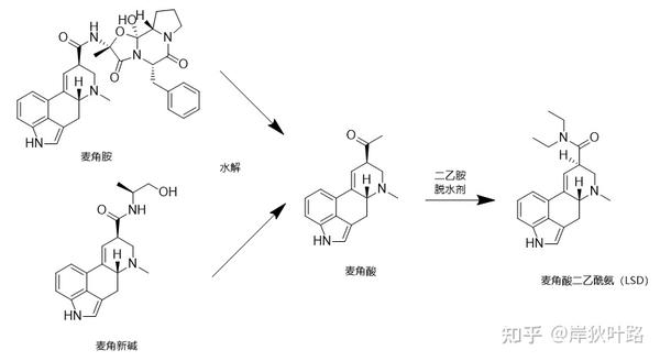 麻黄素类