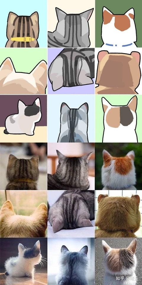 把猫猫二次元化后 网友:我的妈呀,那个后脑勺!