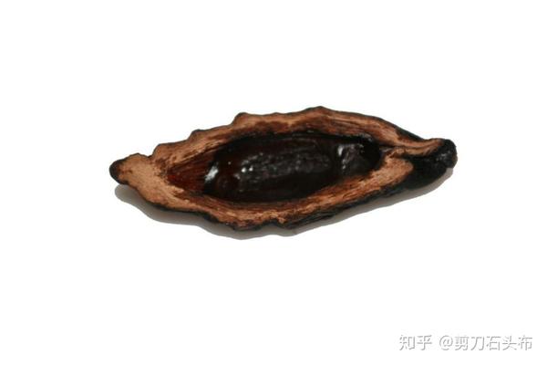 给你营造快感与满足果美达槟榔