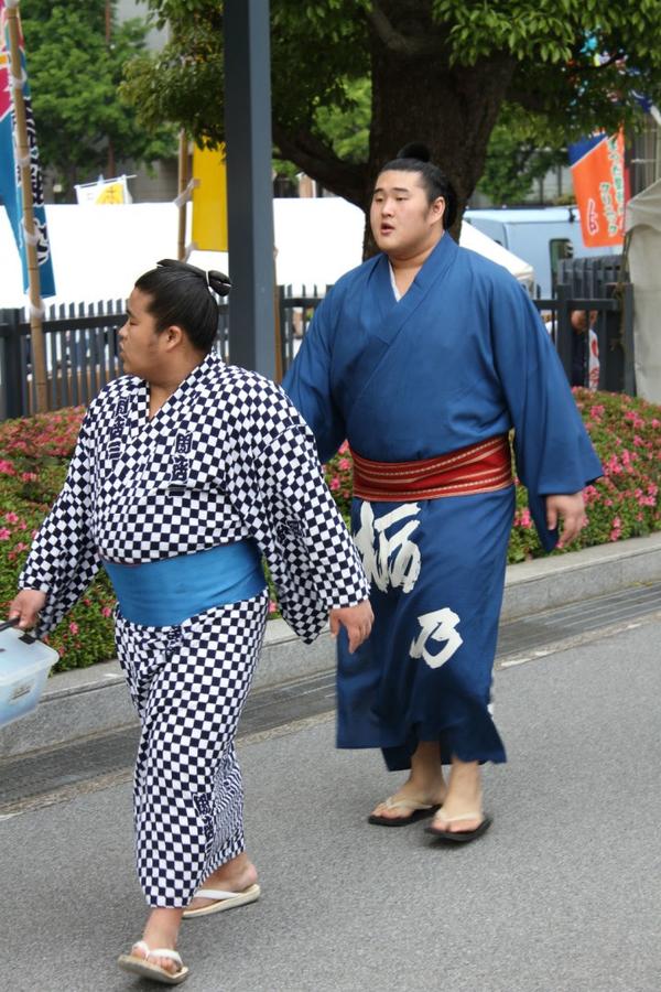 为何日本相扑选手普遍都是超级大胖子而没有肌肉猛男像wwe那种