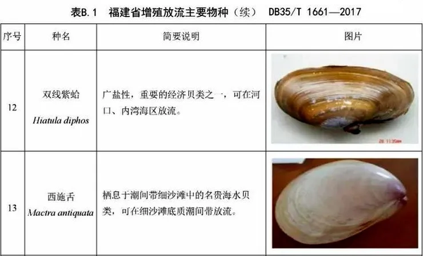 tips:西施舌 hiatula diphos和西施马珂蛤 mactra antiquata并不同科