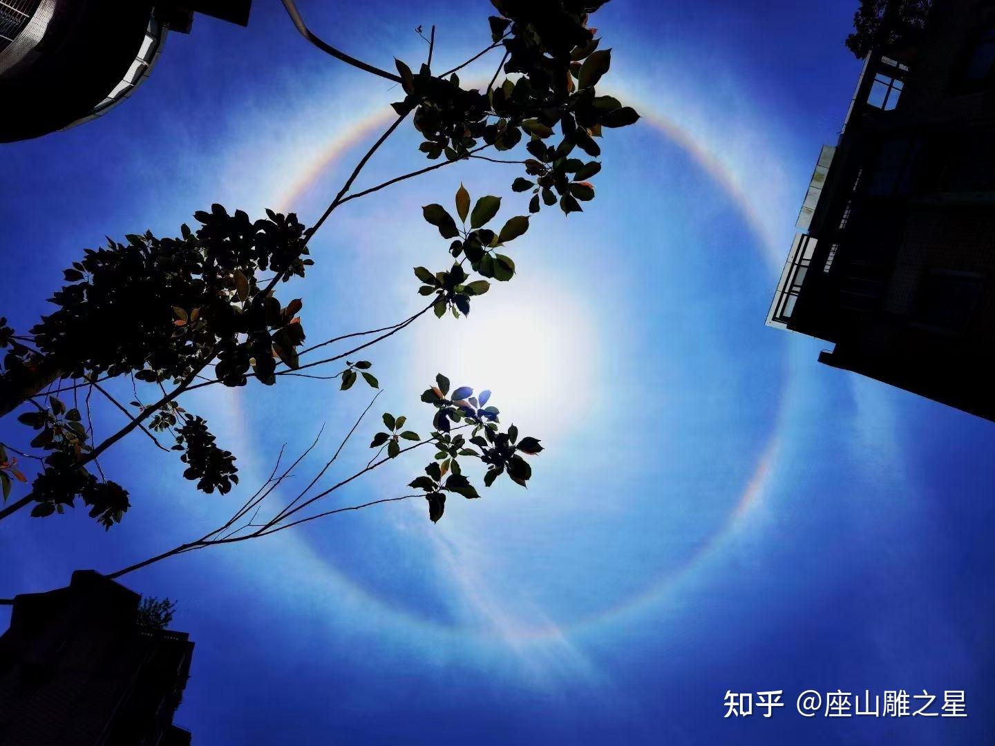 2021年4月30日被贵州甜甜圈太阳刷屏