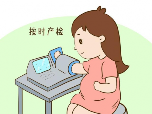 孕晚期产检胎心监护相关事项