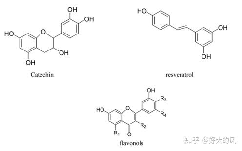 常见的葡萄多酚分子结构