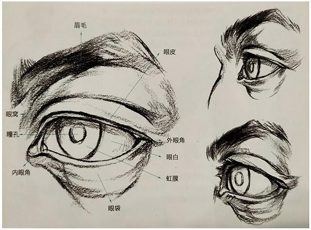 美术技巧:画好速写中人物静态之美"眼睛"
