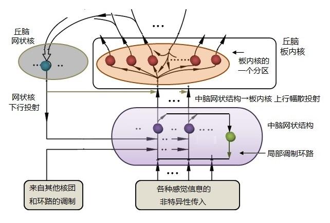 jpg,400x238,231kb,420_250 类脑智能 让机器像人一样思考