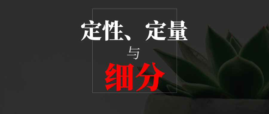semm18note定性定量与细分