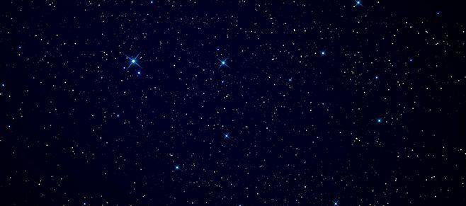 读《黑夜中的星光》—想要平等的活着,并不容易