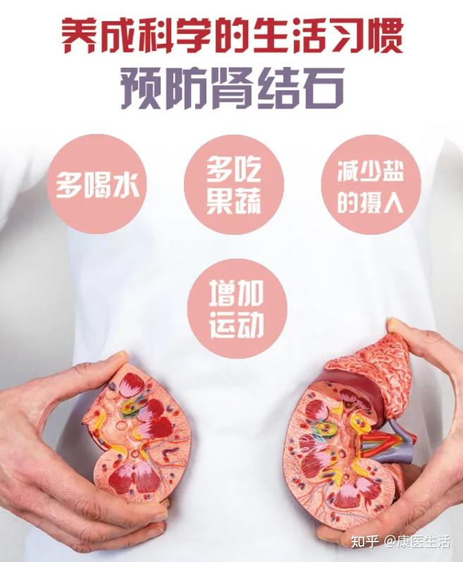 肾结石是什么原因造成的