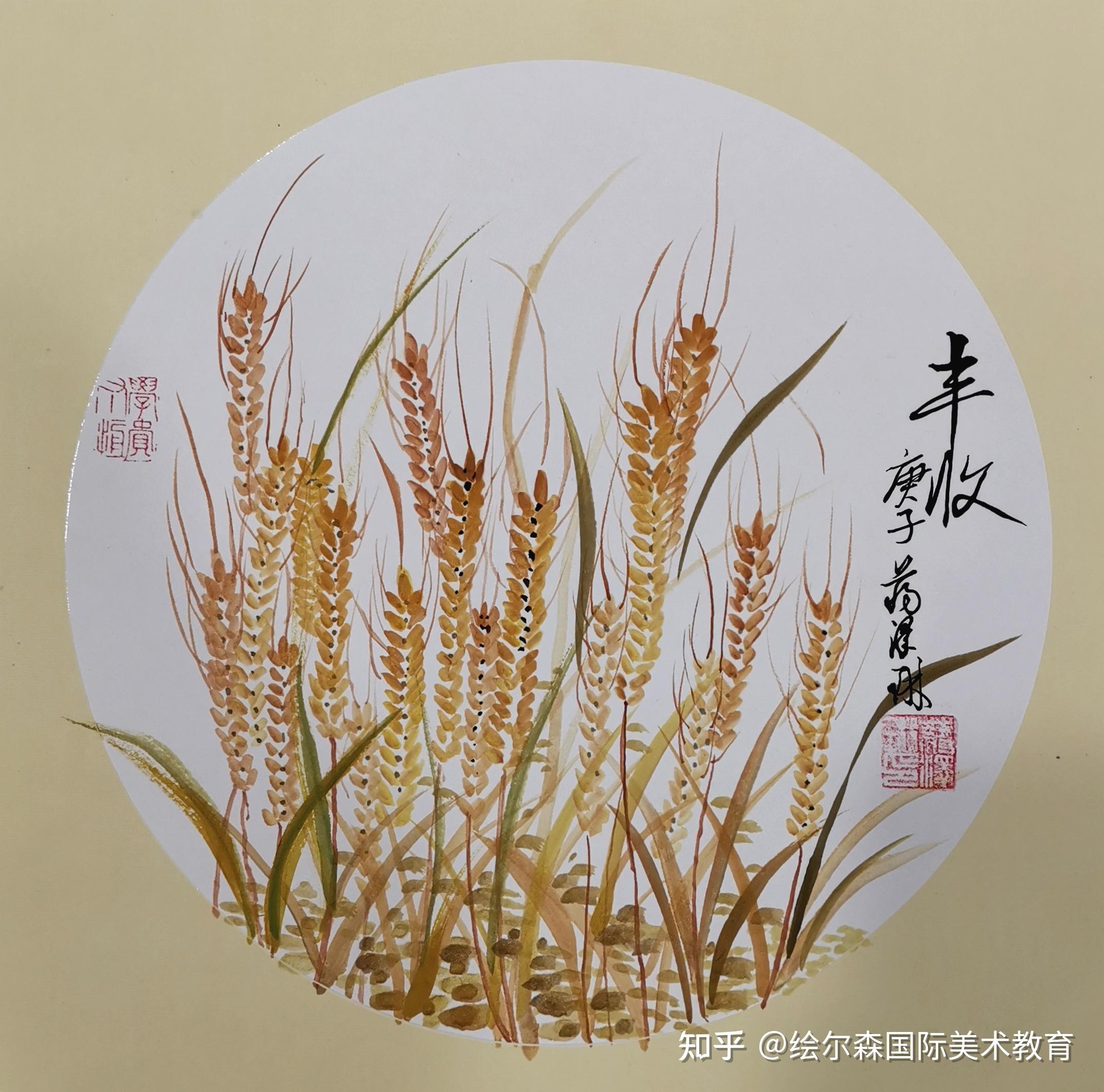 今日芒种又是一年麦子丰收时