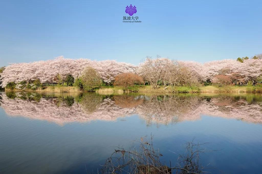 日本帝国大学候补选手筑波大学