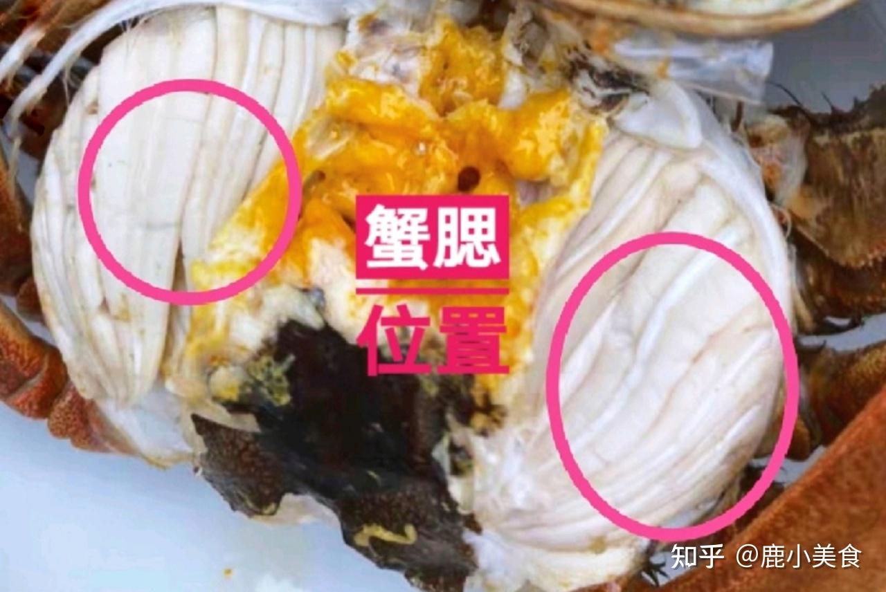4,蟹腮此部位和鱼类一样,均用于呼吸的,这个部位的质感一缕缕的层层