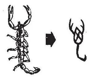 虿, 本义为蝎子,其甲骨文字形如图如画,十分逼真,蝎子的 钳, 身, 尾俱
