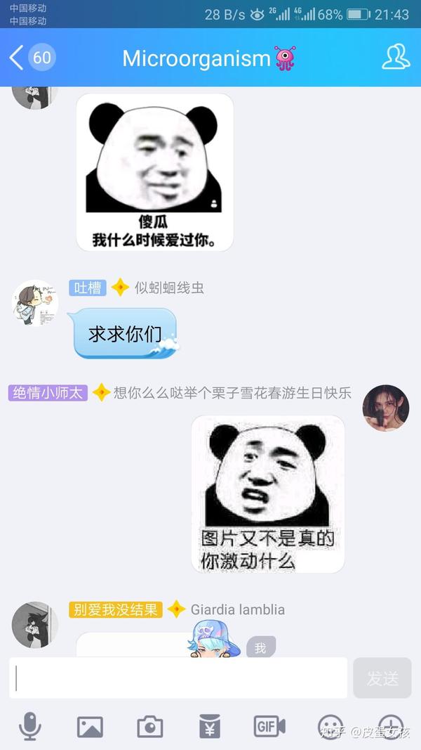 斗图的乐趣在哪?