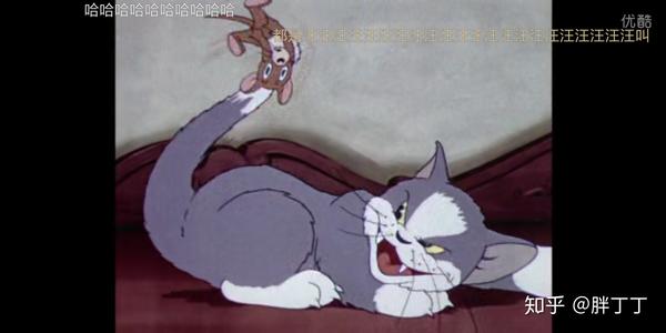 猫和老鼠tomandjerry中的tom猫是什么品种