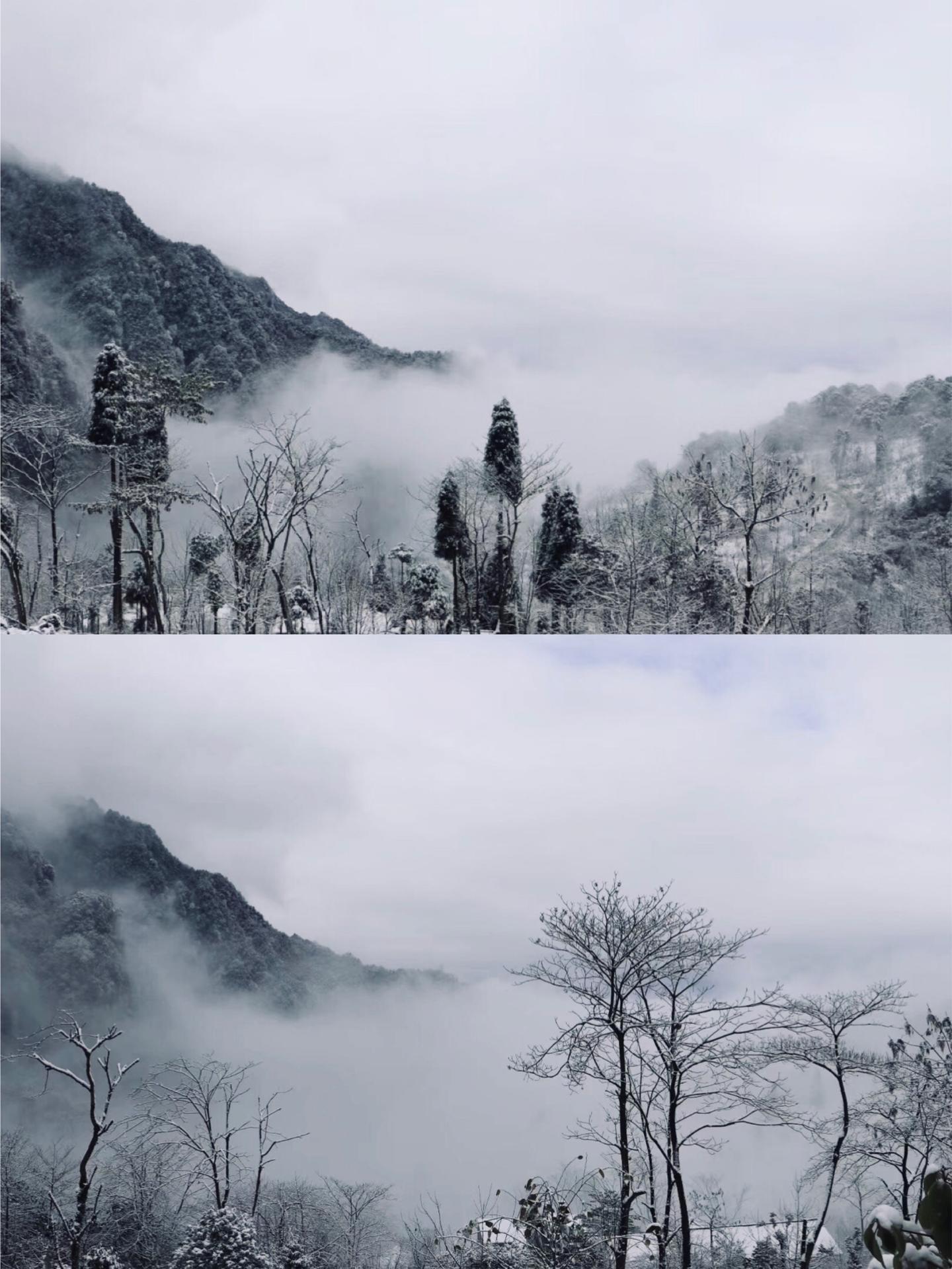 下雪实拍冬季成都周末游玩成都市区出发15h青城山后山景区