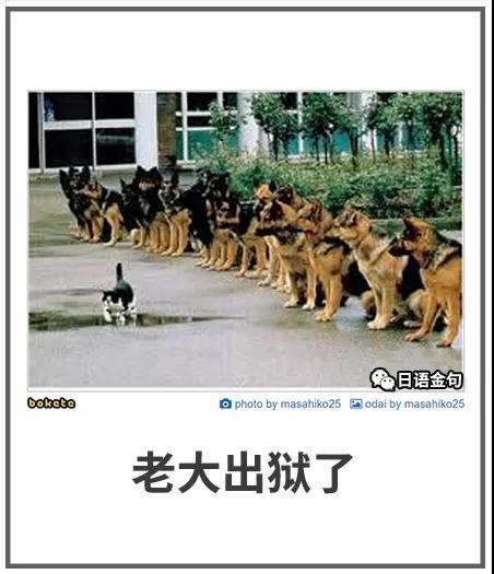 有哪些看完让人直呼过瘾的搞笑图片(二十七)