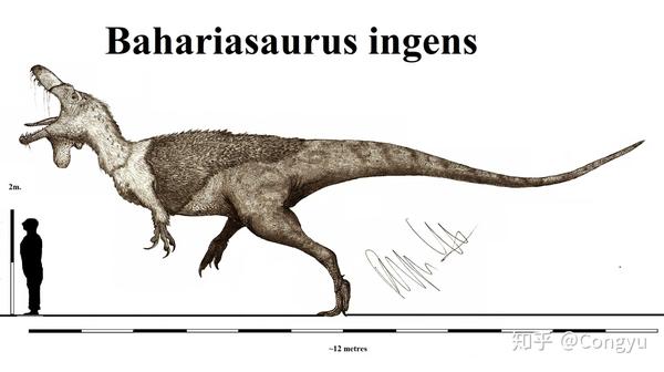 巴哈里亚龙(bahariasaurus)by teratophoneus