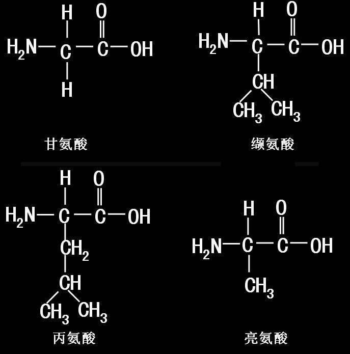 新型冠状病毒7120种氨基酸甘氨酸丙氨酸