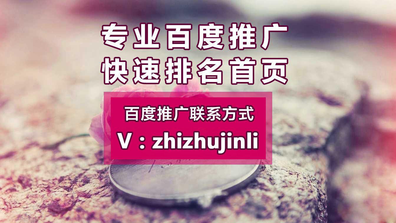 潍坊百度推广seo zhuanlan.zhihu.com
