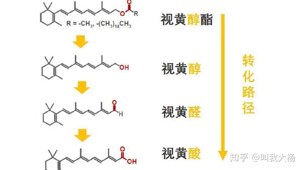 即 视黄酸,视黄醛,视黄醇和视黄醇脂,其实很简单啦,就是把"维a"改成"