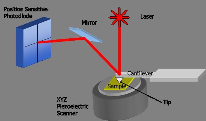 原子力显微镜(afm)简介