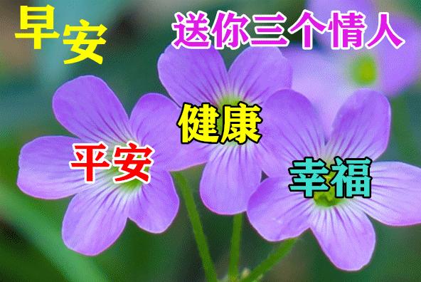 7月14日很温馨很漂亮的早上好祝福语动态图片清晨早安问候语动态表情