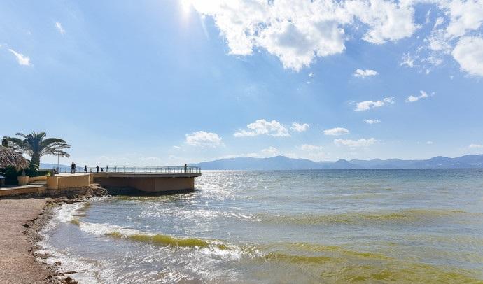 秀云南|抚仙湖樱花谷风景区旅游攻略,看到就赚到!