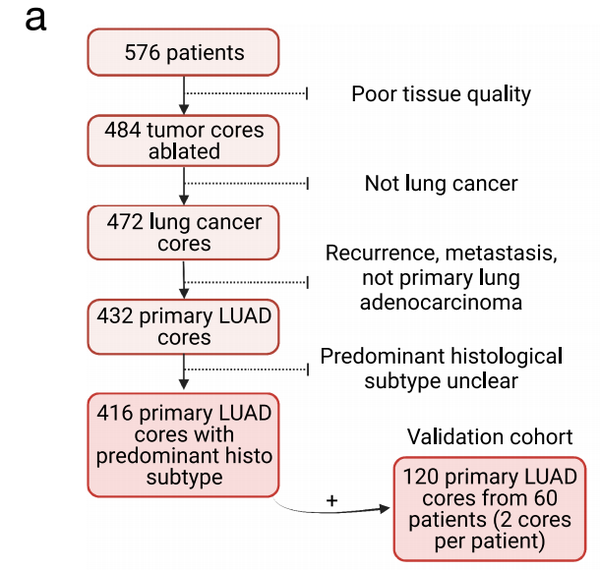 Naturesingle Cell Spatial Landscapes Of The Lung Tumour Immune