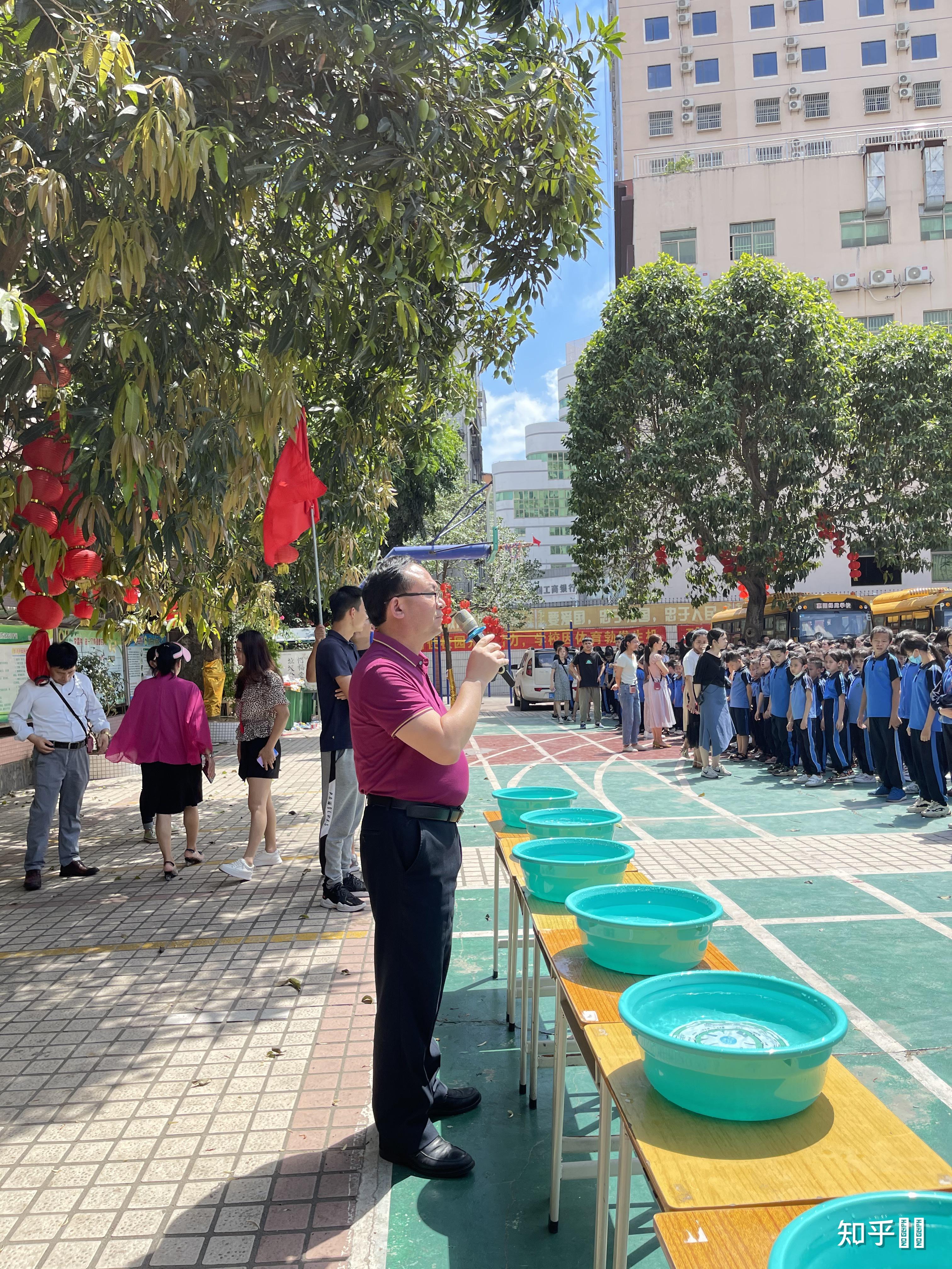 惠阳淡水绿苑学校小学部怎么样