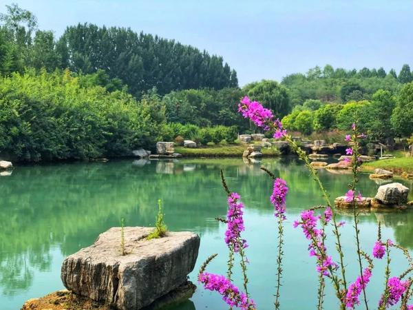 地点:西霞院水利枢纽风景区西霞院水利枢纽(西霞院反调节水库风景区)