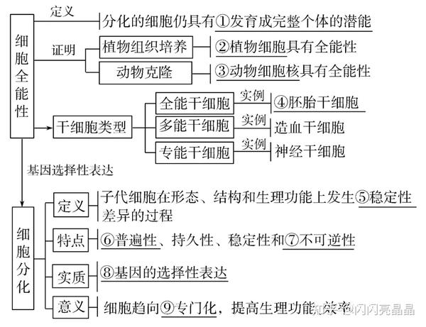 高中生物学大概念:分子与细胞知识结构图,一轮复习必备!