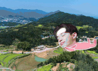 向往的生活火爆背后的真正原因是