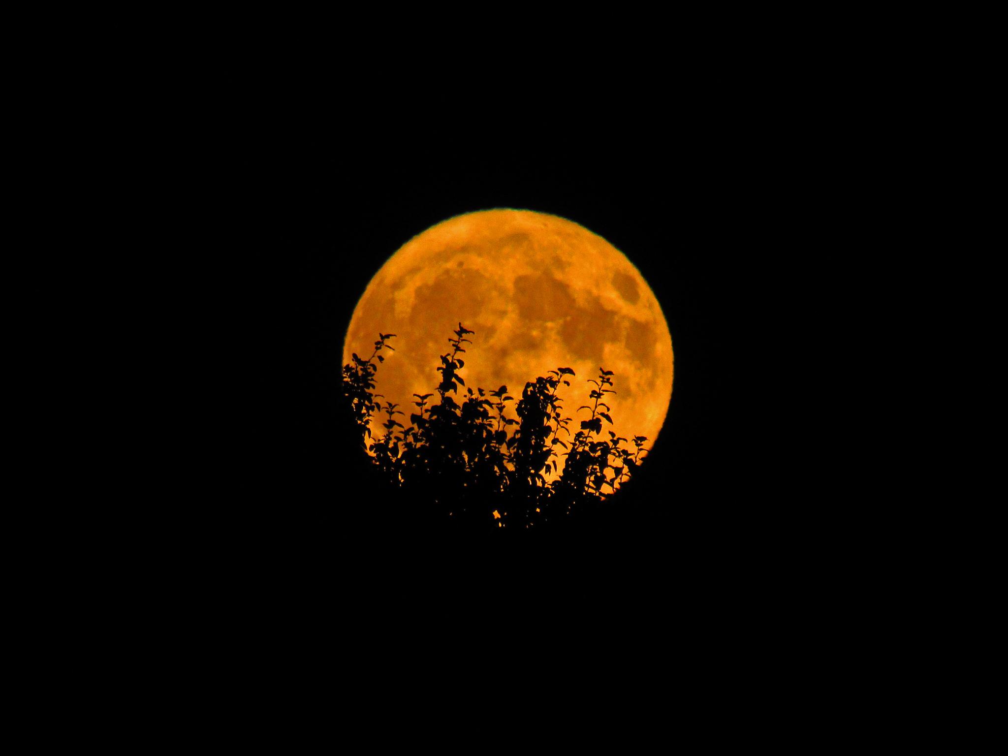 你拍的好看中秋月亮最好的照片有哪些? - 知乎