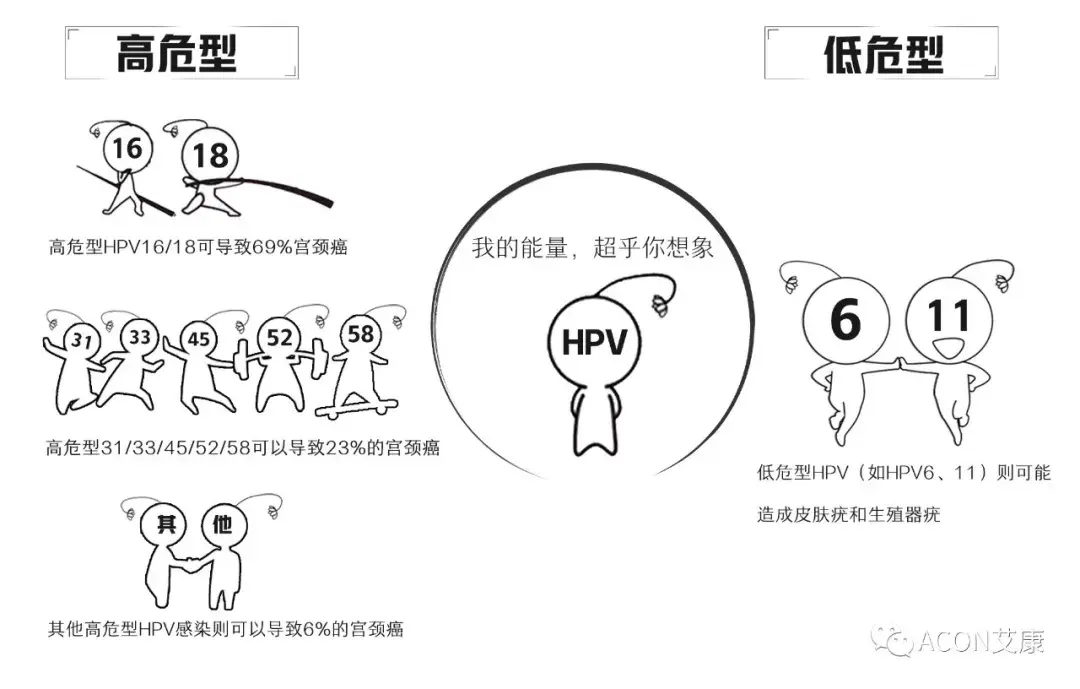 潜伏20年hpv感染是如何一步步发展为宫颈癌的