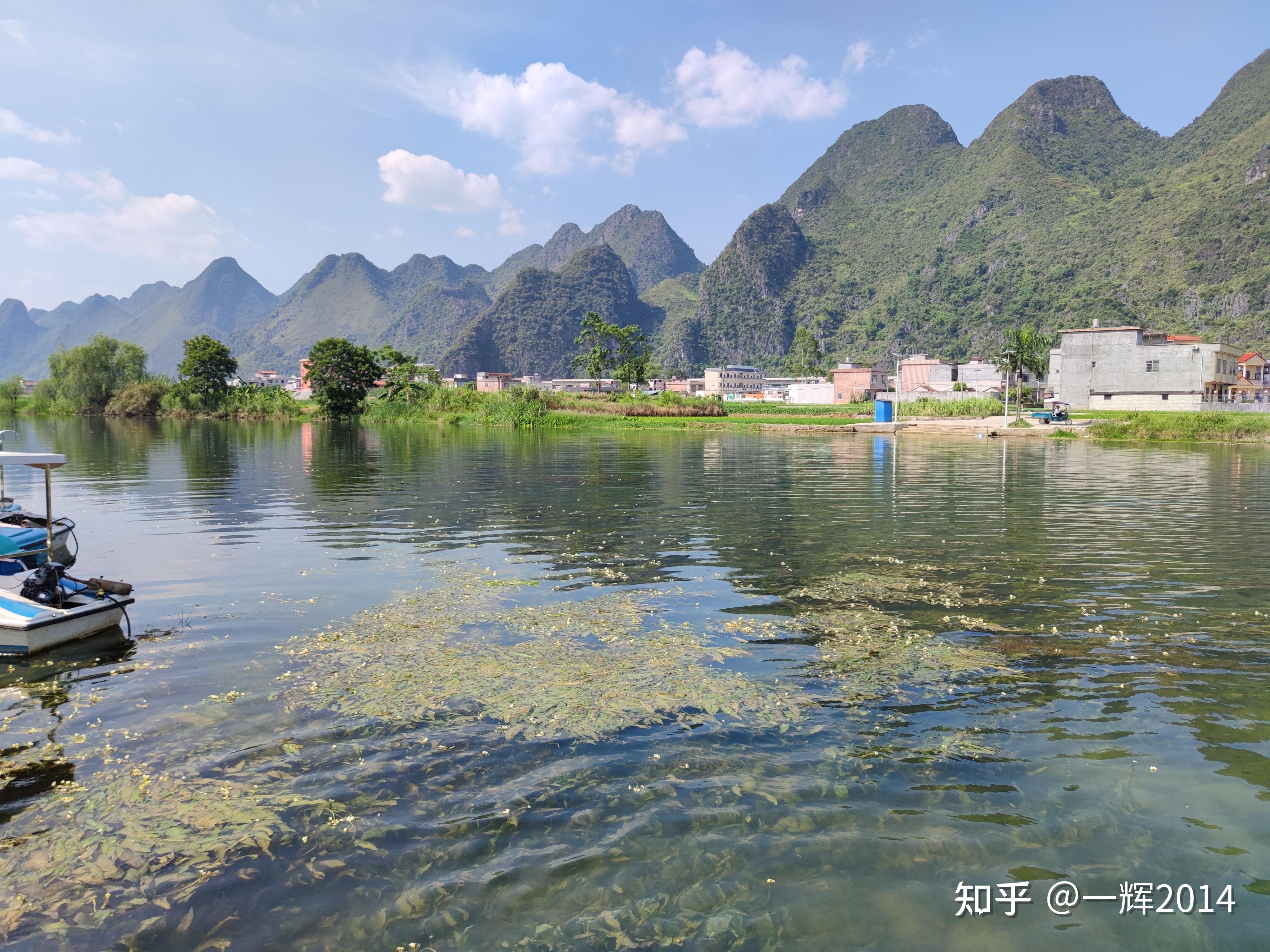 广西都安澄江海菜花